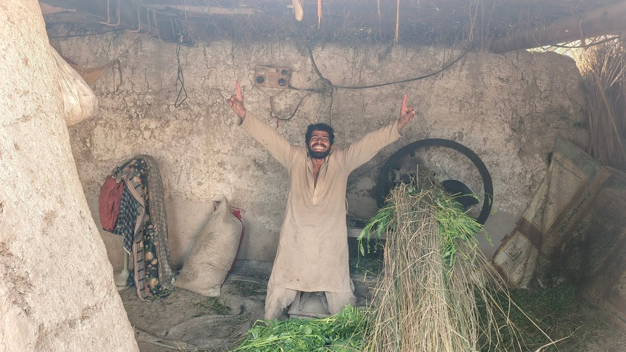 Jutt Ne Mal maveshiyon ki chara kaatne wali Toka machine Chalai