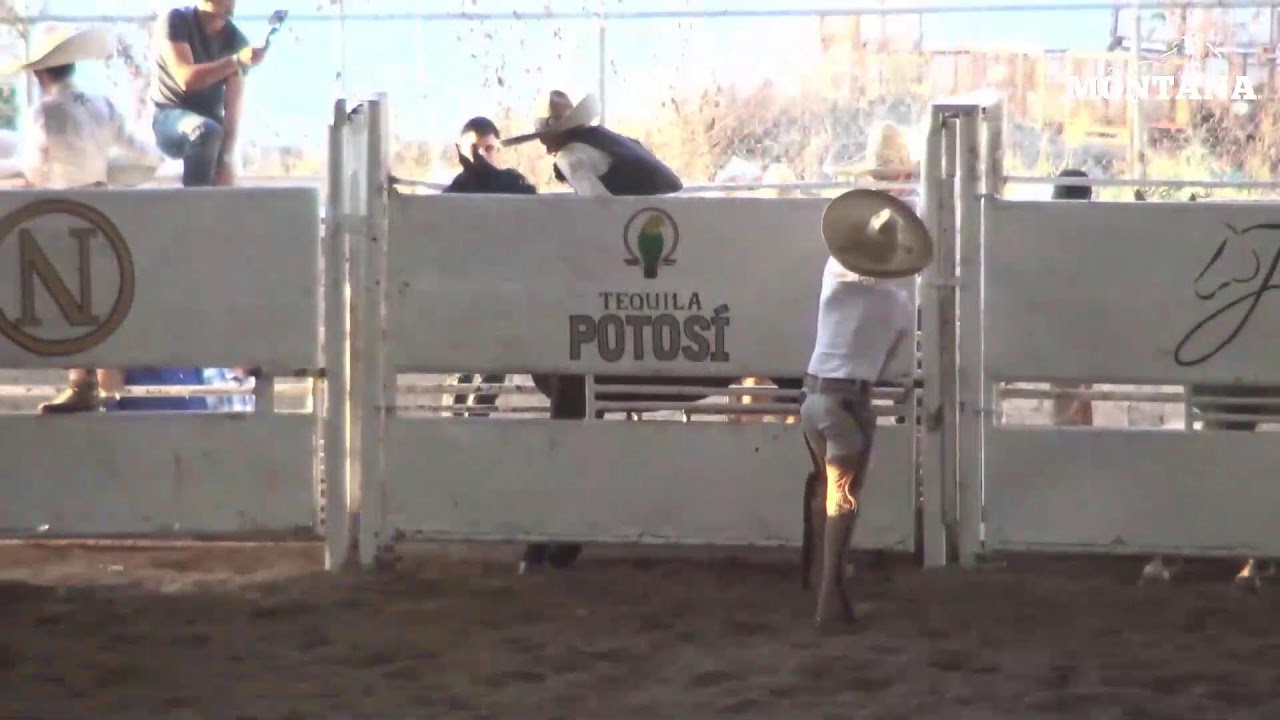 16 Aniversario Lienzo Charro Nito Aceves