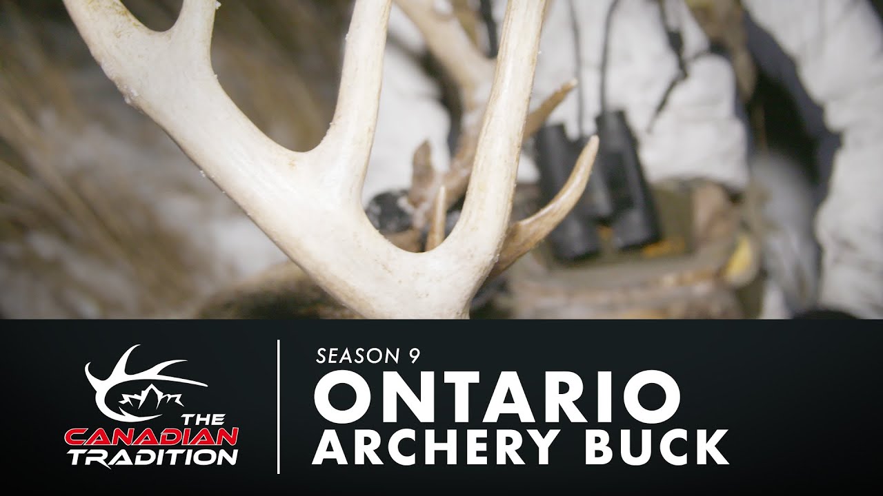 Heavy Ontario Archery Buck Hunt YouTube