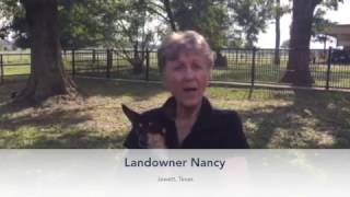 The Texas High-Speed Train — Testimonials From Around the State