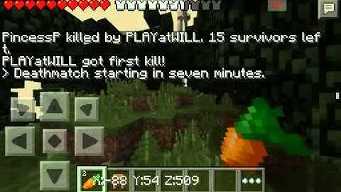 Minecraft mod menu in server