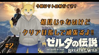 ゼルダの伝説　ブレスオブザワイルド #2
