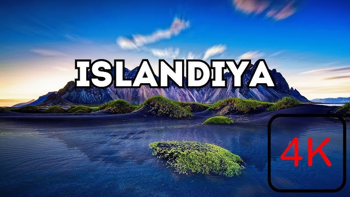 iPhone-da Anita Blond bilan porno videolarni tomosha qiling