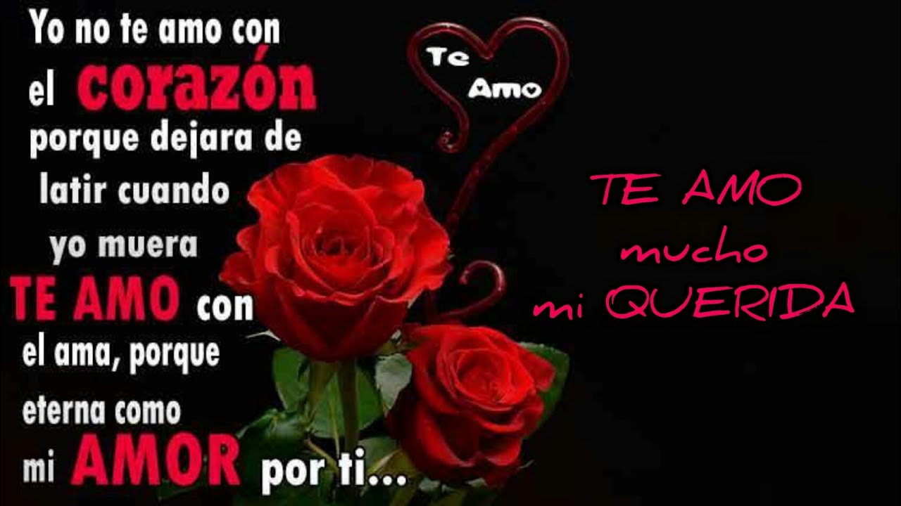 Mi amor por ti es grande.💗 💞💕💓💖 - YouTube