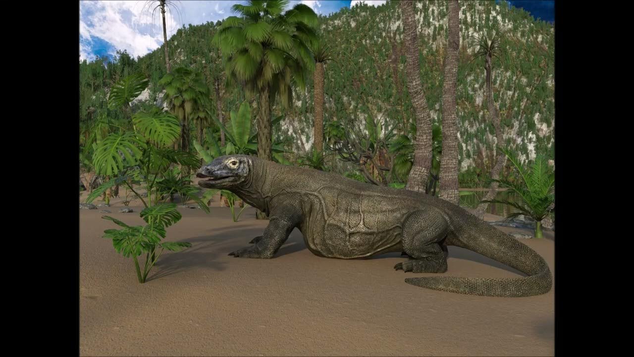 Komodo dragon's belly 1 - Belly loop animation - YouTube