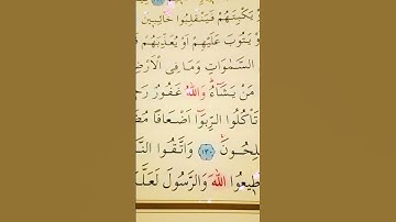 سورة ال عمران الأية 128 إلى 132 القارئ سعد الغامدي