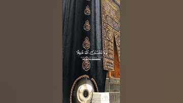 سورة إبراهيم {الآية 42} بصوت الشيخ ياسر الدوسري ❤️❤️