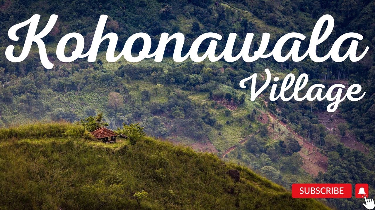 Kohonawala Village Sri Lanka | Hidden Village | 6 Hours SunRise Village | Travel Sri Lanka