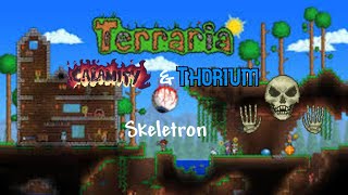 Skeletron | Terraria Calamity and Thorium Bard Class Ep. 09