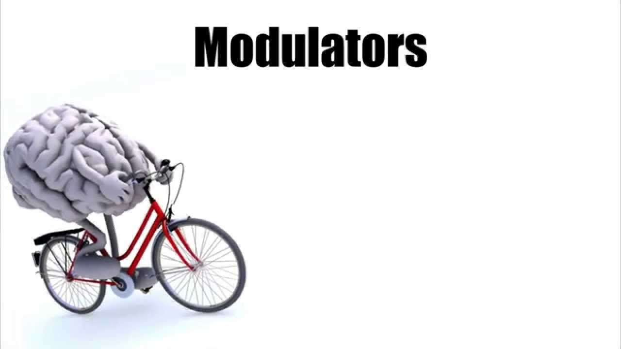 TruBrain Review - Pros & Cons (Plus 20% Off Coupon)