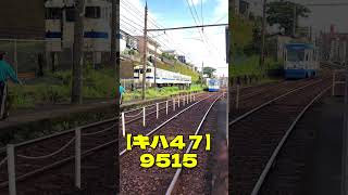 🚋🚃【キハ47 × 鹿児島市電9515】Parallel Run at the LevelCrossing|二軒茶屋踏切並走!🚋 #shorts