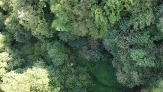 Cave In The Sanski Most Hrustovacka Pecina