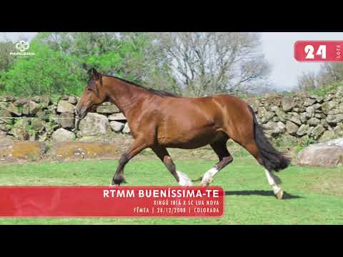 Lote 26 - RTNM Bueníssima-TE