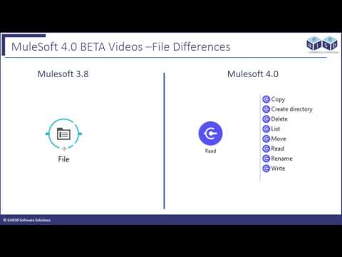 Mule 4 File2File Connector Demo 4 minutes video