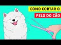 Como Cortar O Pelo Do Seu Cachorro Em Casa