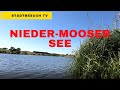 Nieder-Mooser See // Vogelsberg kleiner Besuch in 6 Minuten