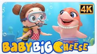 baby shark doo doo doo fun baby songs rhymes
