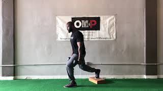 DB Rear Foot Elevated Split Squat (RFESS)