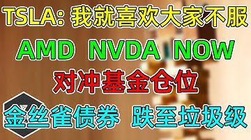 美股 TSLA：我就喜欢大家不服！对冲基金仓位变化！AMD、NVDA！NOW大幅回吐回归！警报：金丝雀债券跌至垃圾级！