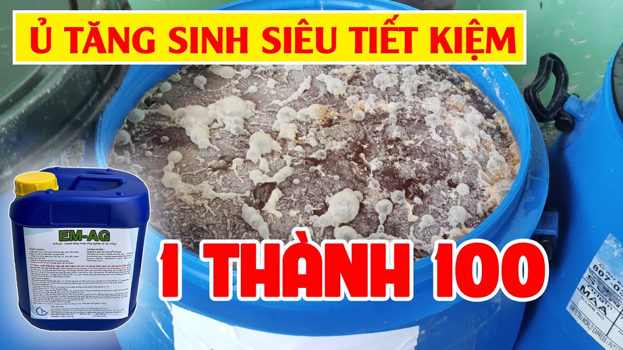 Ủ TĂNG SINH SIÊU TIẾT KIỆM 1 LÍT EM GỐC THÀNH 100 LÍT THỨ CẤP