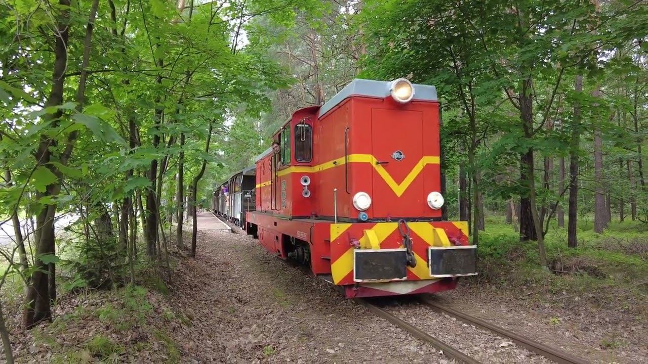 Górnośląskie Koleje Wąskotorowe Lxd2-374, TKb 27, Lyd1-309  10.07.2022