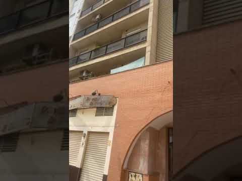 Gallos en una terraza de Huelva