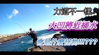 《GO GO Fishing》00號釣竿東北角實測藻餌磯釣果然被欺負假的 ...