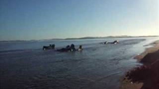 playa el  chorrito