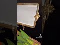 جيزان شركه الهزاز الدولي المحدودة