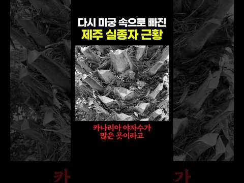 다시 미궁 속으로 빠진 제주 실종자 근황