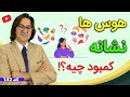 هوس ها نشانه کمبود کدام ویتامین در بدنه هوس خوردن شیرینی جات چای و قهوه غذاهای شور و تند و