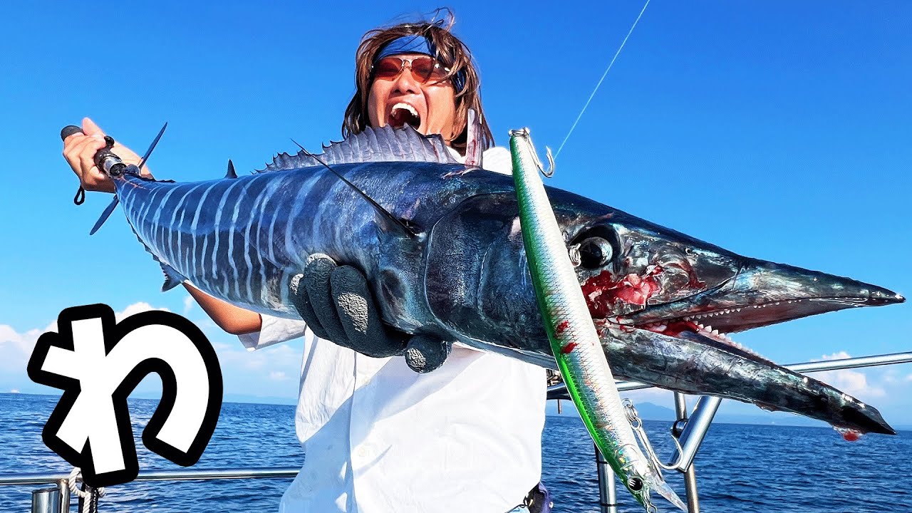 名前は可愛いのに凶暴過ぎる魚【釣船ALBA丸】