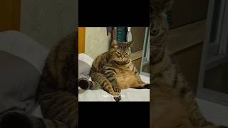 Are Your Balls Dismantling?