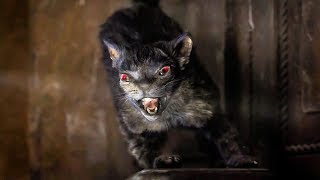 Goosebumps 2 ‘Nothing To Be Afraid Of’ Movie Clip 2/10 (2018) HD