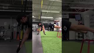 TRX Flutters - Feet Elevated