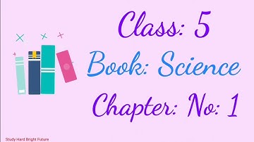 Science Class 5 Chapter 1 | STBB | Classification of living things | MCQ