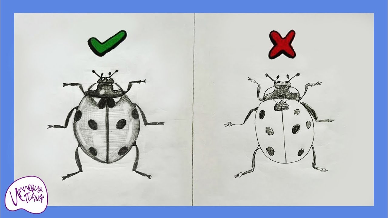 Как нарисовать божью коровку карандашом легко и красиво