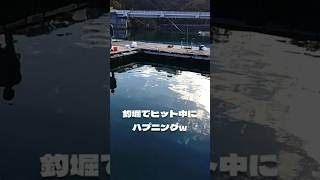 魚がヒット中のハプニングあるある、、、#shorts