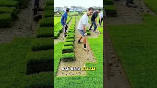 RUMPUT STADION KOK DIGULUNG?
