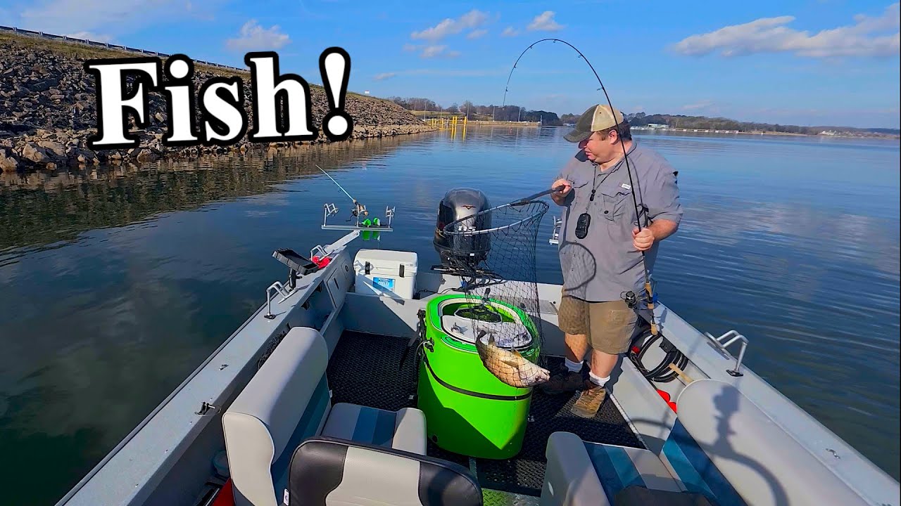 Никогда не узнаешь, пока не попробуешь! Зимняя рыбалка на живую наживку (нитеперая сельдь и сельд...