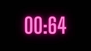 145 Second Timer with Alarm