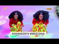 የማንኪራ የውዝዋዜ ቡድን በኢራቻ ኮንሰርት