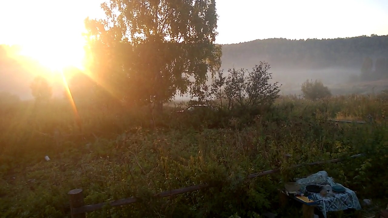 Реле рассвет 10