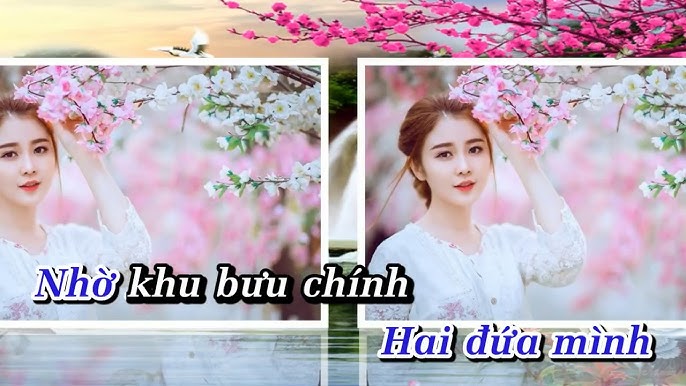 ❤️DÒNG THƯ MỰC TÍM❤️