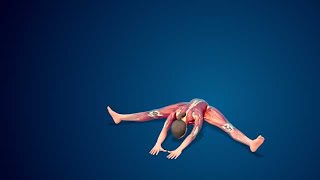 3D human Upavistha Konasana nomal yoga pose stock footage | stock video | Cinefootage