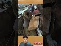 Viral! Inilah Bukti Mukzizat Dari Alquran! #m4zsda #shortvideos #shorts #reaction