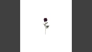 Sunday Without You