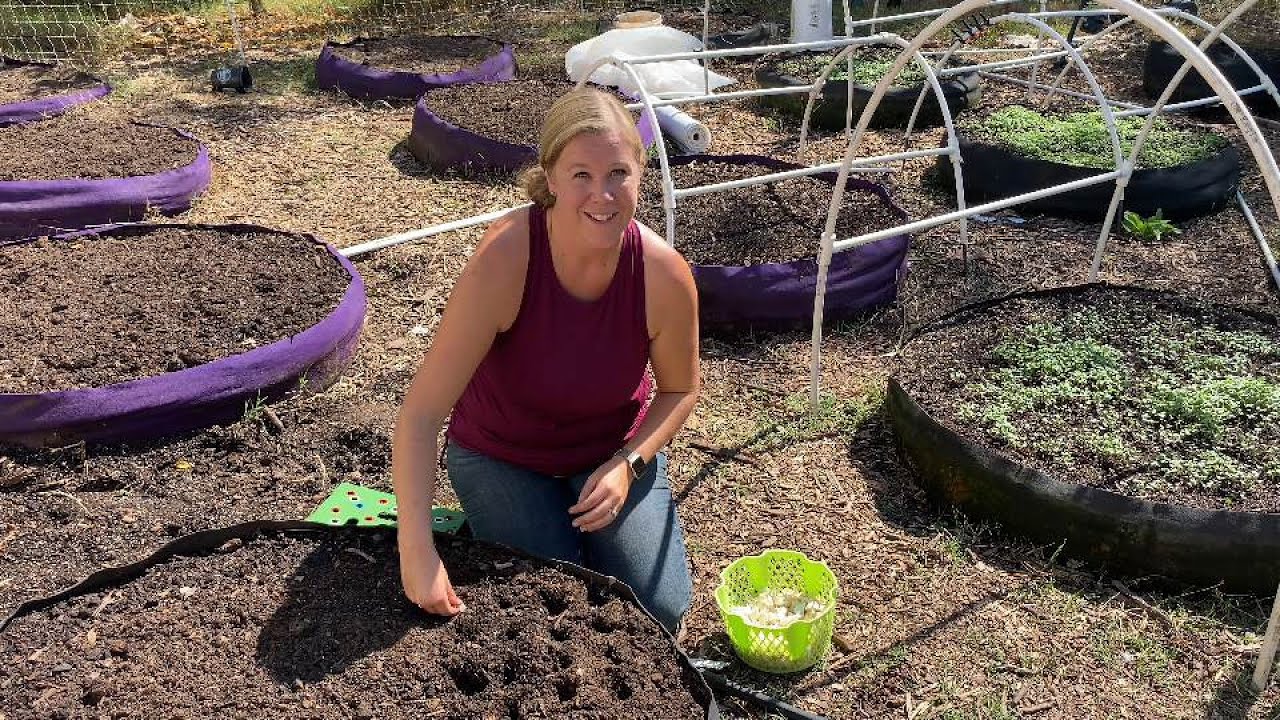 🌱 Fall Is The Best Time To Plant Garlic! Here’s What You Need to Know About Growing It… YouTube