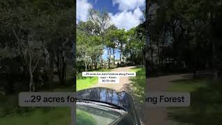large scale developer needed / investor in Karen , this 29 acres on forest rd , ratio 30:70