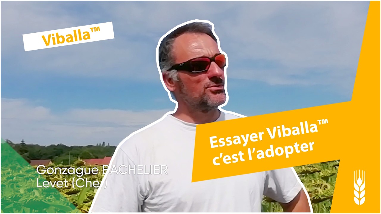 Désherbage du tournesol : deux agriculteurs témoignent sur Viballa™